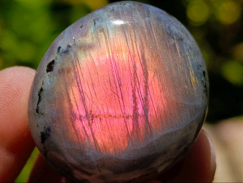 Polished Mini Labradorite Palm Stones x 70 From Madagascar