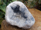 Natural Blue Celestite Cluster Specimens x 2 From Sakoany, Madagascar