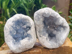 Natural Blue Celestite Cluster Specimens x 2 From Sakoany, Madagascar