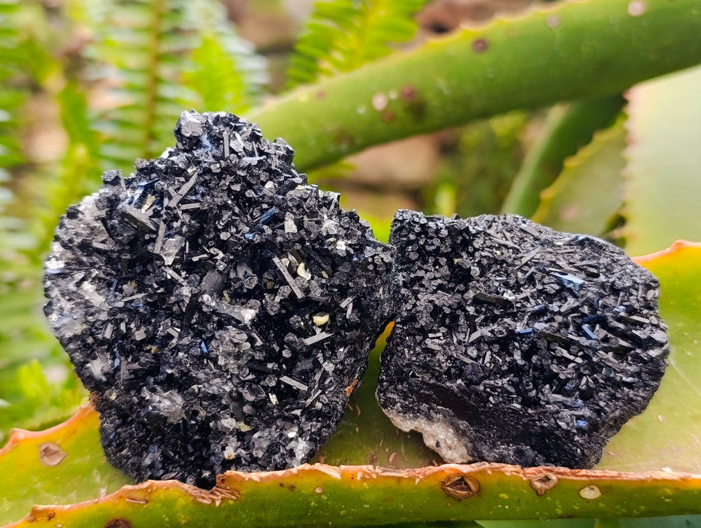 Natural Schorl Black Tourmaline Specimens with Associated Minerals x 12 From Erongo, Namibia
