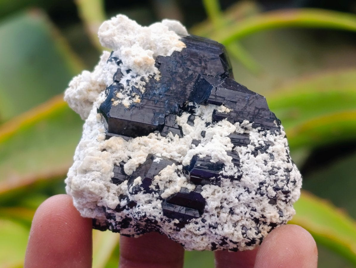 Natural Schorl Black Tourmaline Specimens with Associated Minerals x 12 From Erongo, Namibia