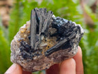 Natural Schorl Black Tourmaline Specimens with Associated Minerals x 12 From Erongo, Namibia