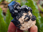Natural Schorl Black Tourmaline Specimens with Associated Minerals x 12 From Erongo, Namibia