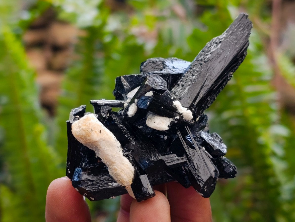 Natural Schorl Black Tourmaline Specimens with Associated Minerals x 12 From Erongo, Namibia