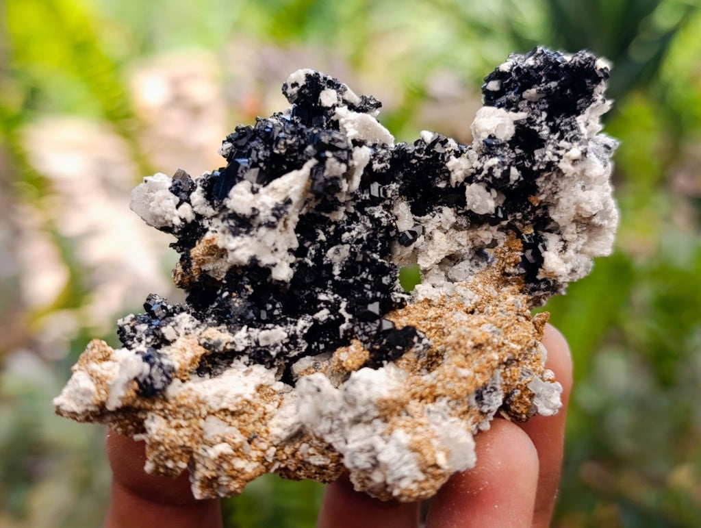 Natural Schorl Black Tourmaline Specimens with Associated Minerals x 12 From Erongo, Namibia