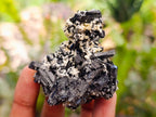 Natural Schorl Black Tourmaline Specimens with Associated Minerals x 12 From Erongo, Namibia