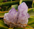 Natural Jacaranda Amethyst Crystal Clusters x 2 From Mumbwa, Zambia