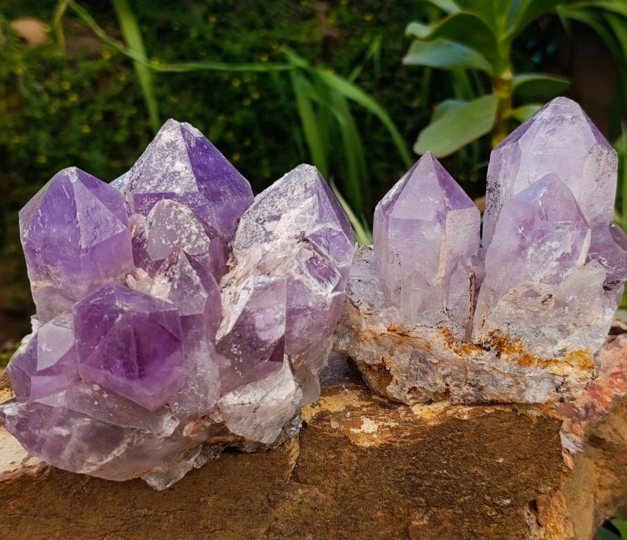 Natural Jacaranda Amethyst Crystal Clusters x 2 From Mumbwa, Zambia