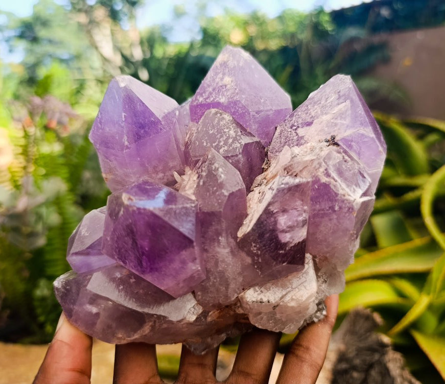 Natural Jacaranda Amethyst Crystal Clusters x 2 From Mumbwa, Zambia