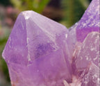 Natural Jacaranda Amethyst Crystal Clusters x 2 From Mumbwa, Zambia