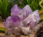 Natural Jacaranda Amethyst Crystal Clusters x 2 From Mumbwa, Zambia