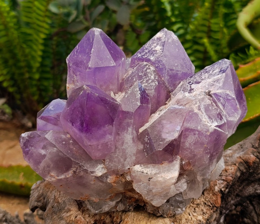 Natural Jacaranda Amethyst Crystal Clusters x 2 From Mumbwa, Zambia