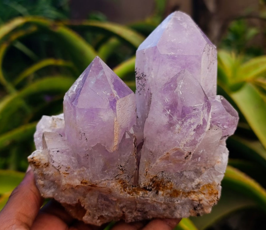 Natural Jacaranda Amethyst Crystal Clusters x 2 From Mumbwa, Zambia