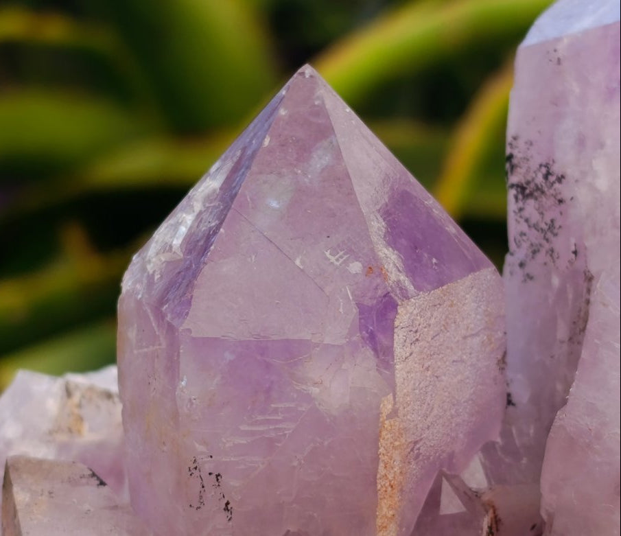 Natural Jacaranda Amethyst Crystal Clusters x 2 From Mumbwa, Zambia