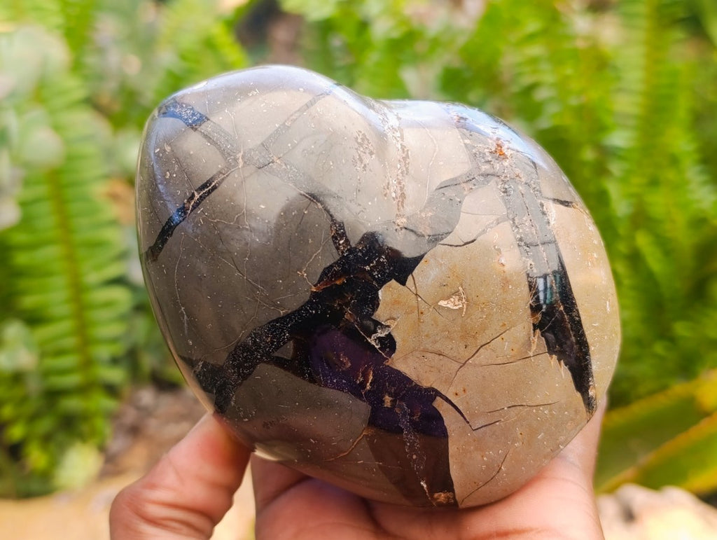 Polished Septerye Sauvage "Dragons Egg" Geode x 2 From Mahajanga, Madagascar