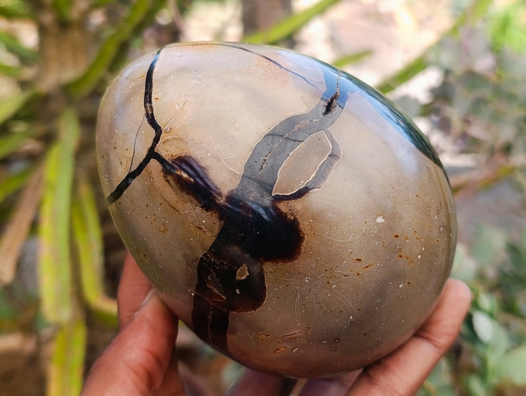 Polished Septerye Sauvage "Dragons Egg" Geode x 2 From Mahajanga, Madagascar