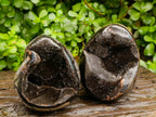 Polished Septerye Sauvage "Dragons Egg" Geode x 2 From Mahajanga, Madagascar