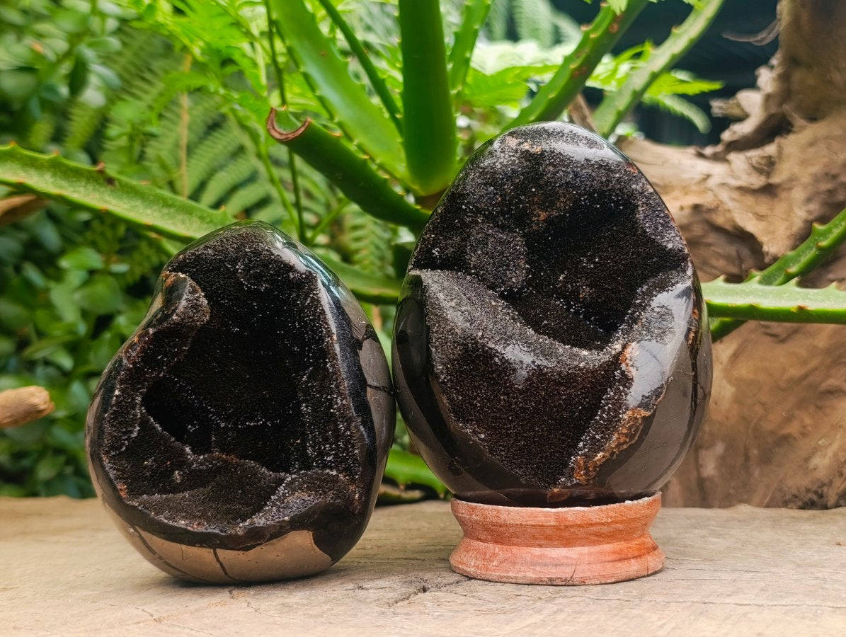 Polished Septerye Sauvage "Dragons Egg" Geode x 2 From Mahajanga, Madagascar