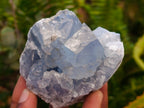 Natural Blue Celestite Specimens x 32 From Sakoany, Madagascar