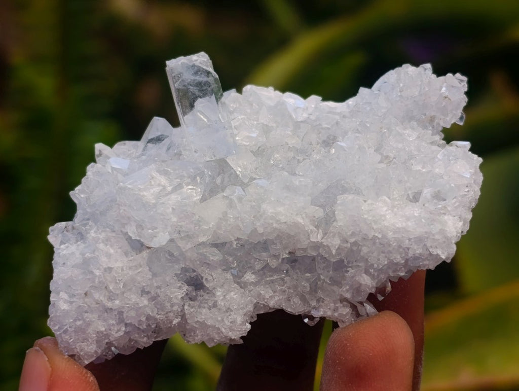 Natural Blue Celestite Specimens x 32 From Sakoany, Madagascar