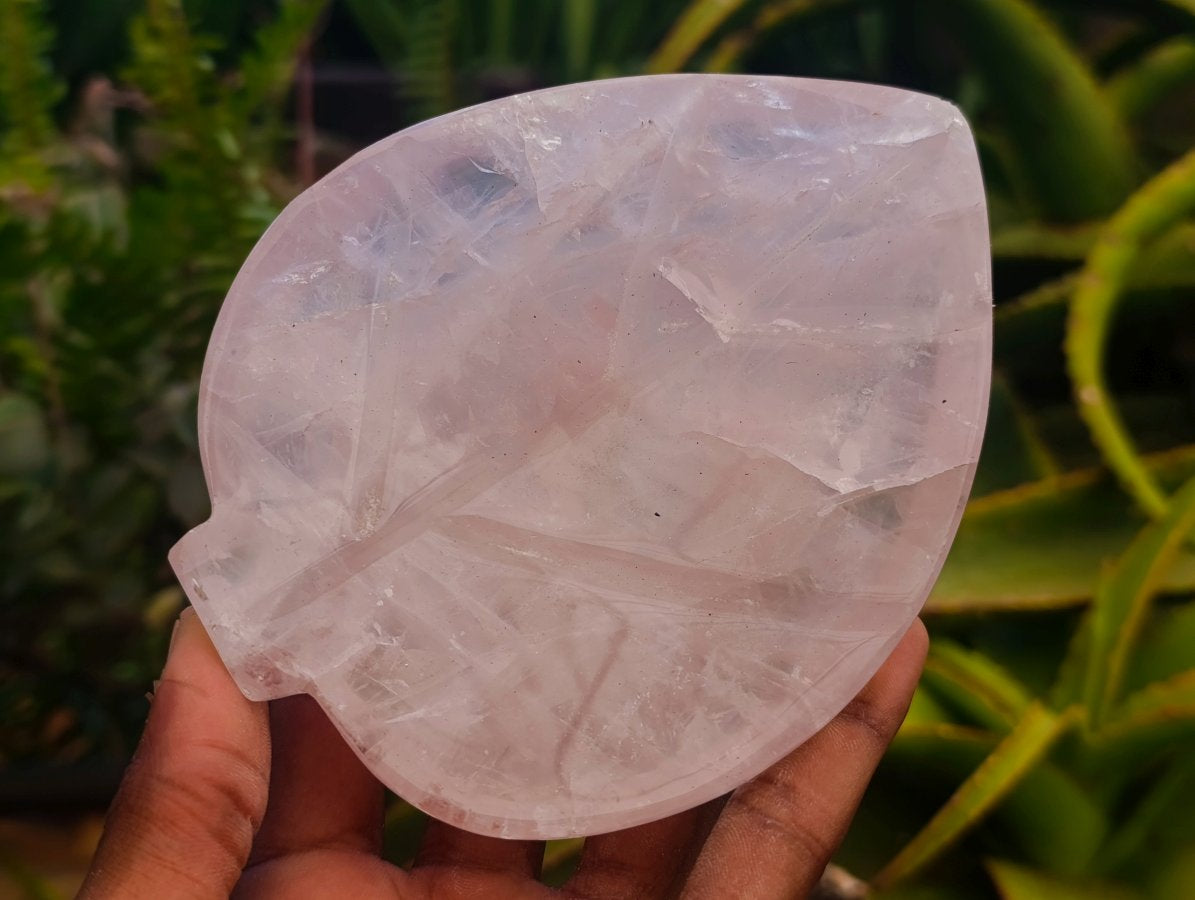 Polished Gemmy Rose Quartz Leaf Shaped Bowls x 4 From Madagascar
