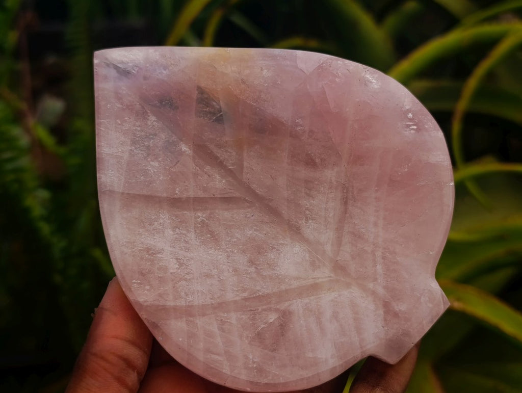 Polished Gemmy Rose Quartz Leaf Shaped Bowls x 4 From Madagascar
