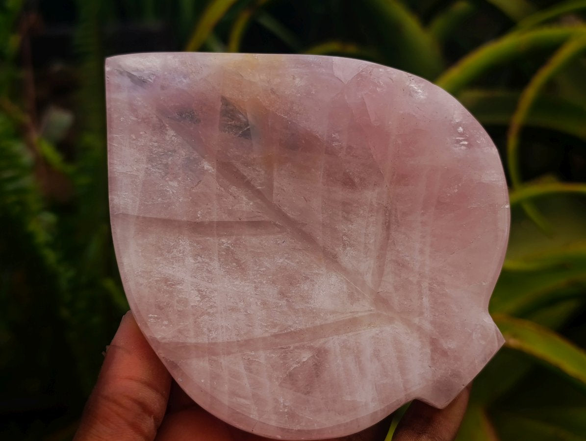 Polished Gemmy Rose Quartz Leaf Shaped Bowls x 4 From Madagascar