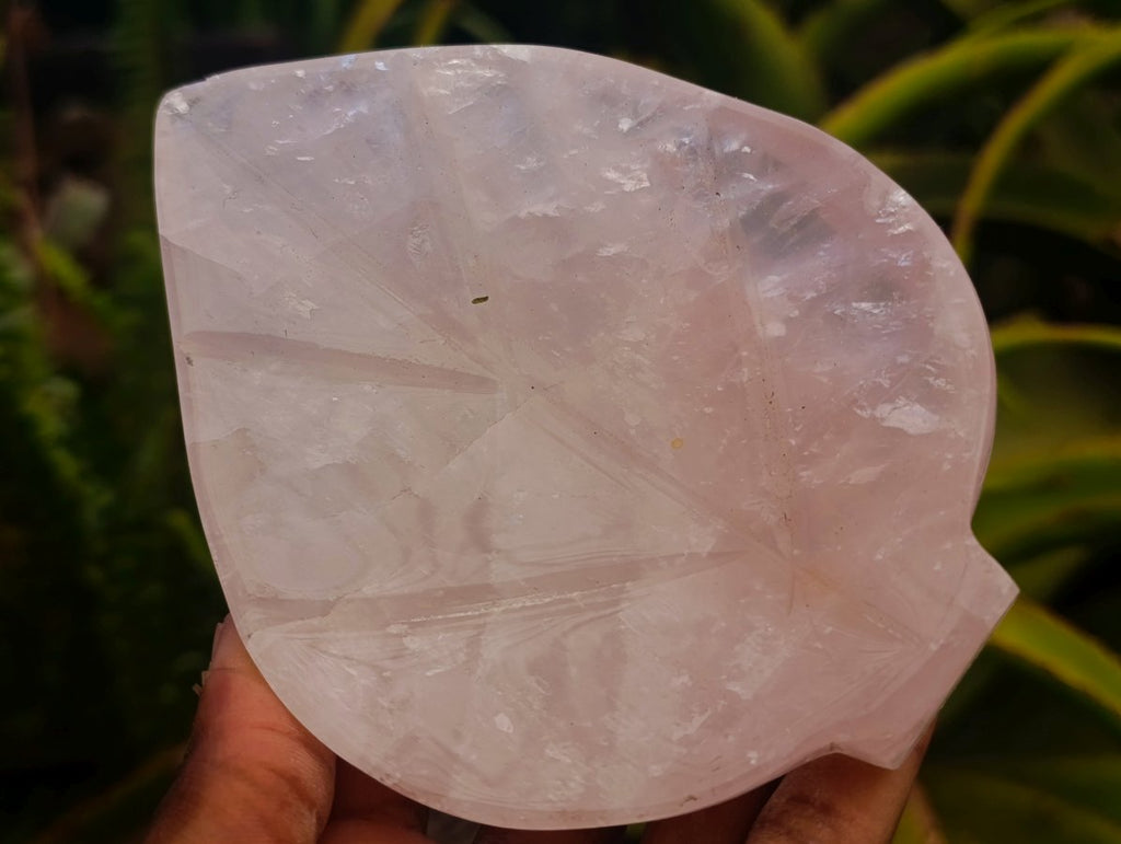 Polished Gemmy Rose Quartz Leaf Shaped Bowls x 4 From Madagascar