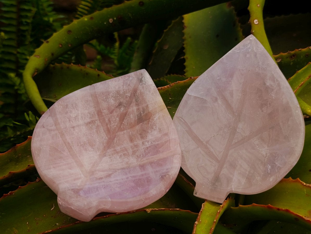 Polished Gemmy Rose Quartz Leaf Shaped Bowls x 4 From Madagascar