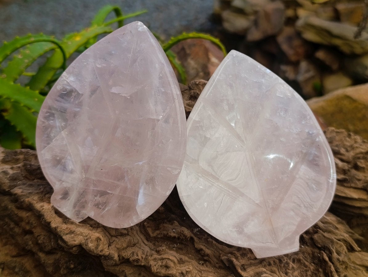 Polished Gemmy Rose Quartz Leaf Shaped Bowls x 4 From Madagascar