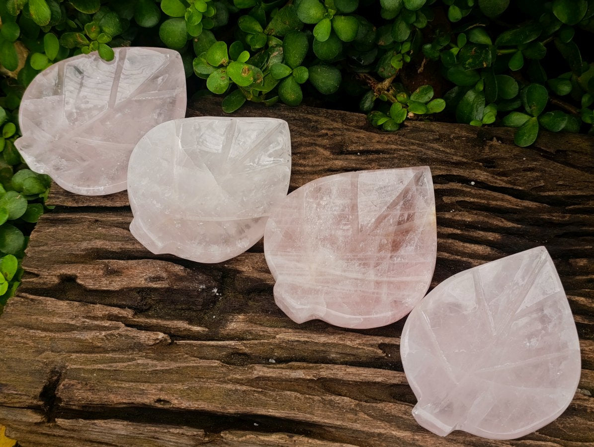 Polished Gemmy Rose Quartz Leaf Shaped Bowls x 4 From Madagascar