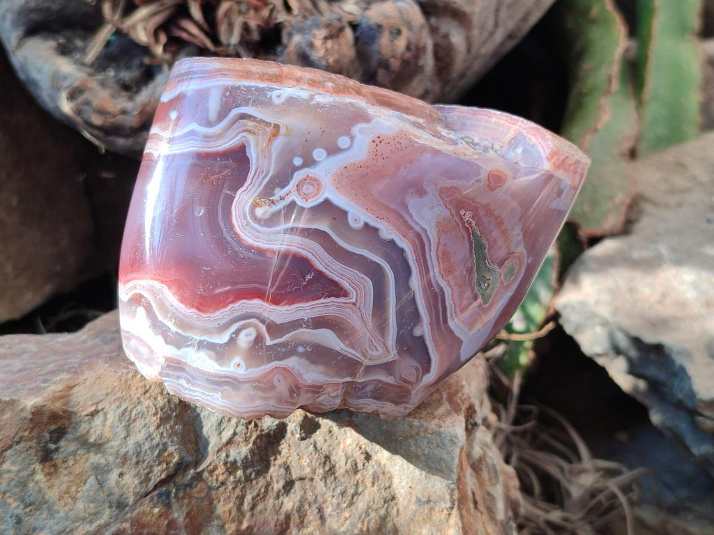 Polished One Side Large Red Shashe River Agate Nodules x 4 From Shashe River, Zimbabwe