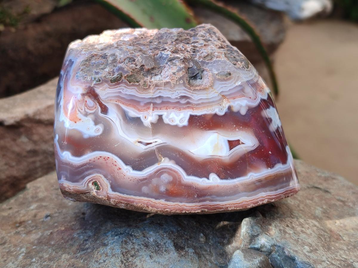 Polished One Side Large Red Shashe River Agate Nodules x 4 From Shashe River, Zimbabwe