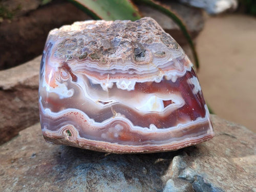 Polished One Side Large Red Shashe River Agate Nodules x 4 From Shashe River, Zimbabwe