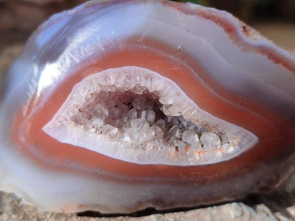 Polished One Side Large Red Shashe River Agate Nodules x 4 From Shashe River, Zimbabwe
