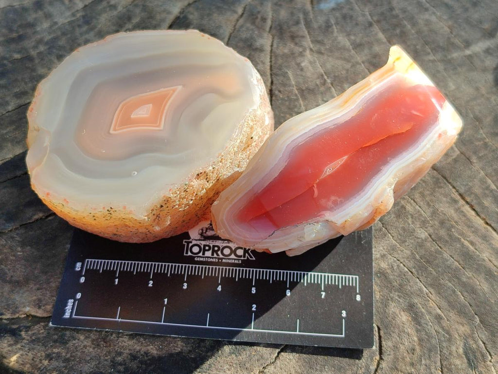 Polished One Side Large Red Shashe River Agate Nodules x 4 From Shashe River, Zimbabwe