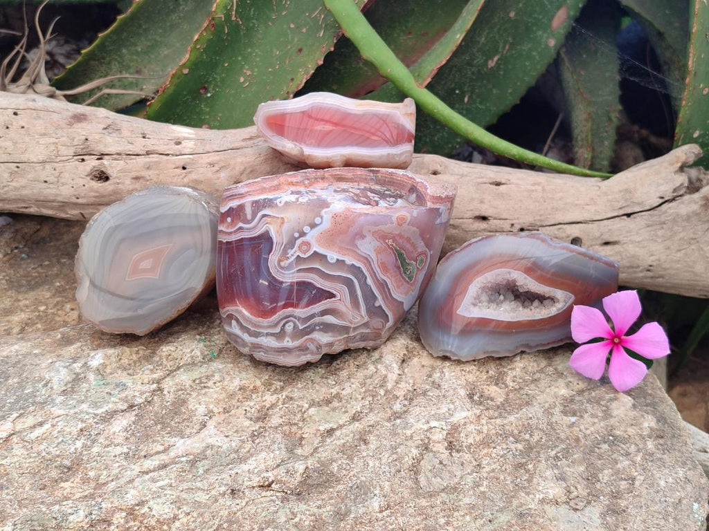 Polished One Side Large Red Shashe River Agate Nodules x 4 From Shashe River, Zimbabwe