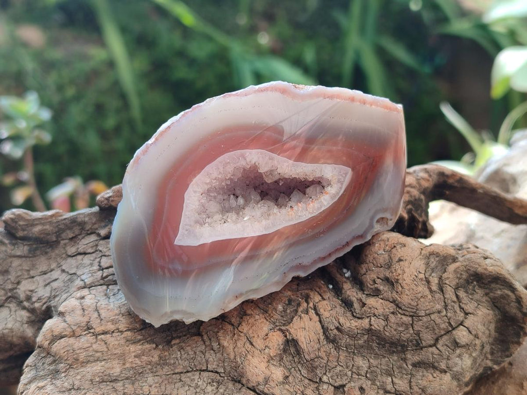 Polished One Side Large Red Shashe River Agate Nodules x 4 From Shashe River, Zimbabwe