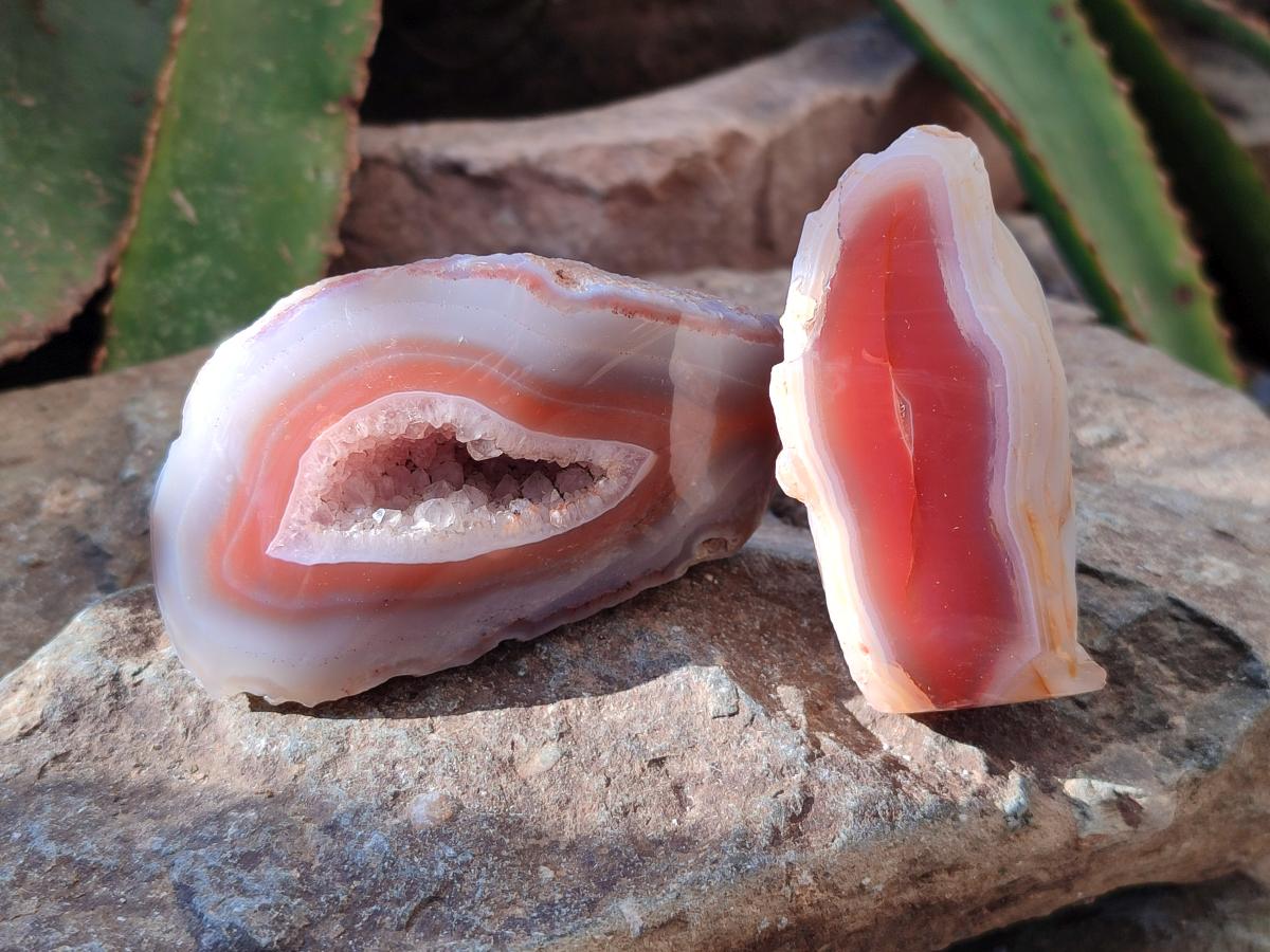 Polished One Side Large Red Shashe River Agate Nodules x 4 From Shashe River, Zimbabwe