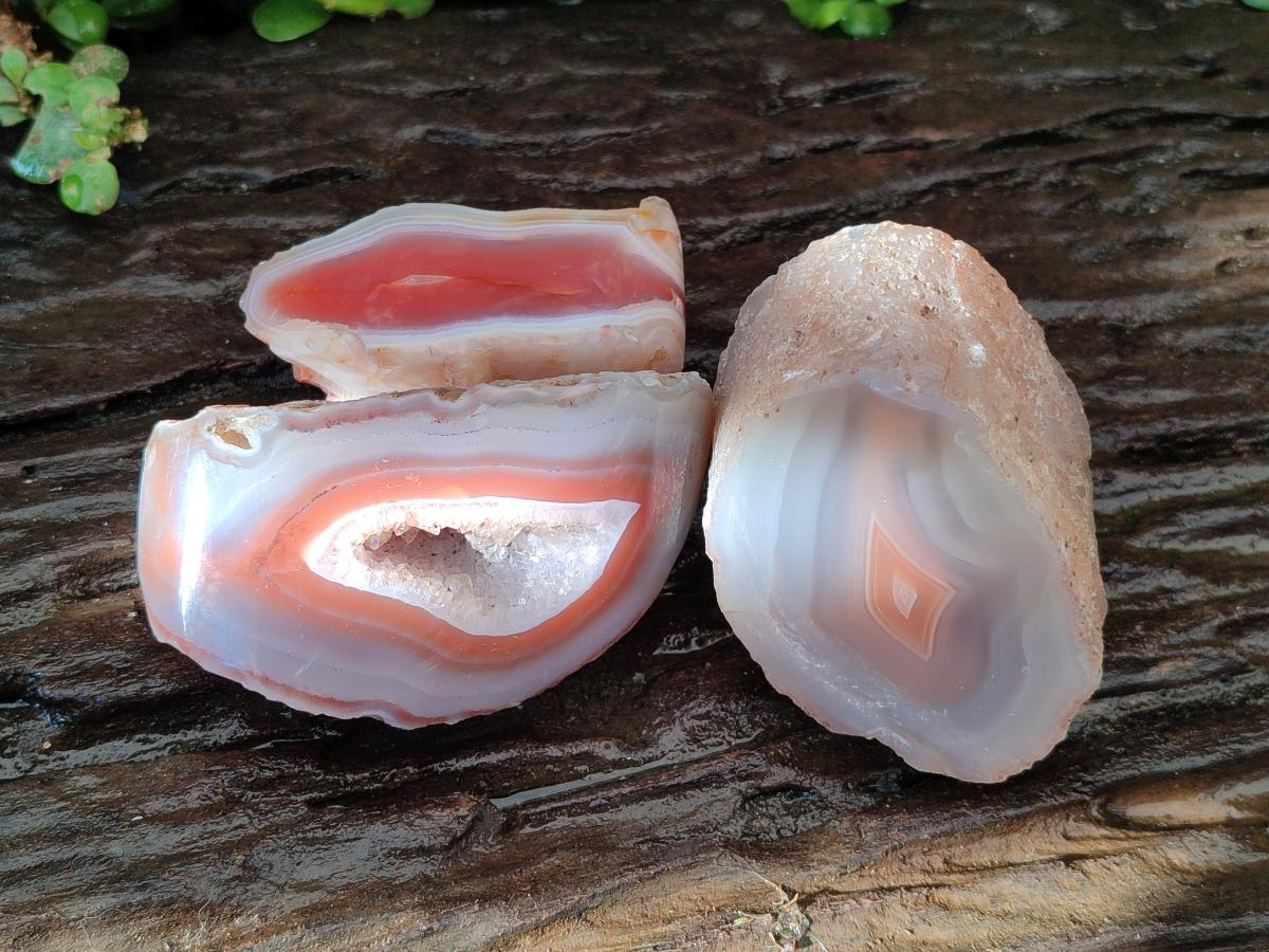 Polished One Side Large Red Shashe River Agate Nodules x 4 From Shashe River, Zimbabwe