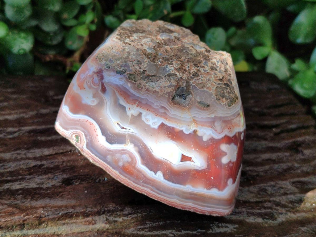 Polished One Side Large Red Shashe River Agate Nodules x 4 From Shashe River, Zimbabwe