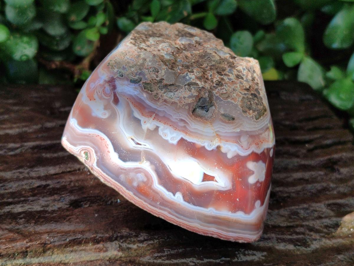 Polished One Side Large Red Shashe River Agate Nodules x 4 From Shashe River, Zimbabwe