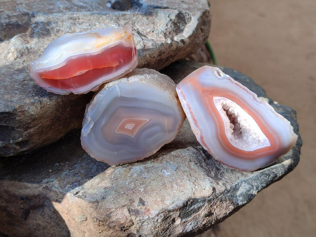 Polished One Side Large Red Shashe River Agate Nodules x 4 From Shashe River, Zimbabwe
