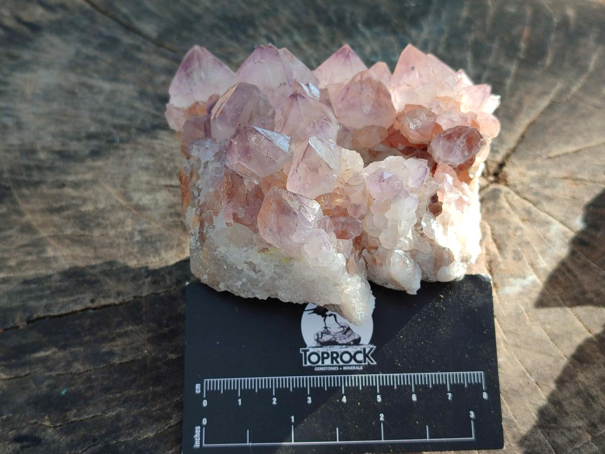 Natural Amethyst Spirit Clusters x 3 From Boekenhouthoek, South Africa
