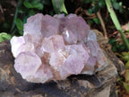 Natural Amethyst Spirit Clusters x 3 From Boekenhouthoek, South Africa