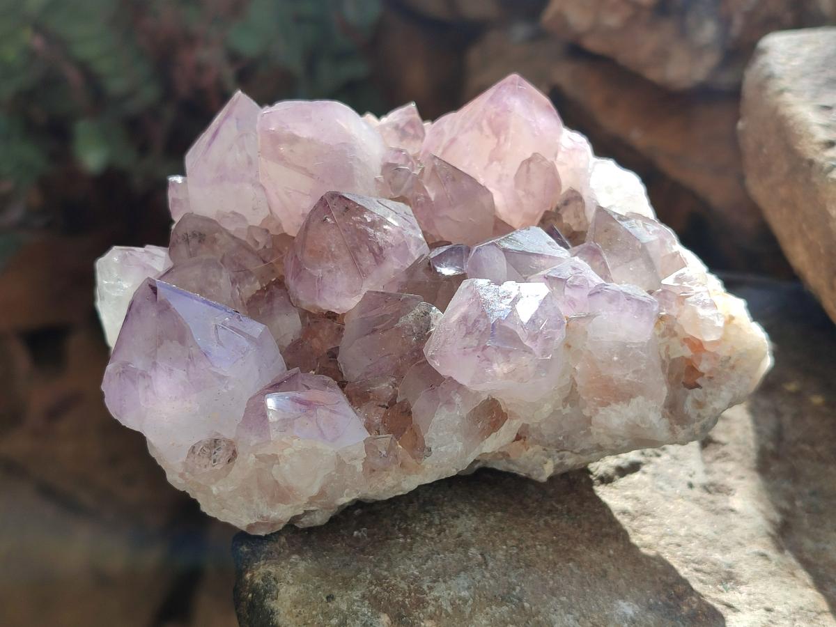 Natural Amethyst Spirit Clusters x 3 From Boekenhouthoek, South Africa