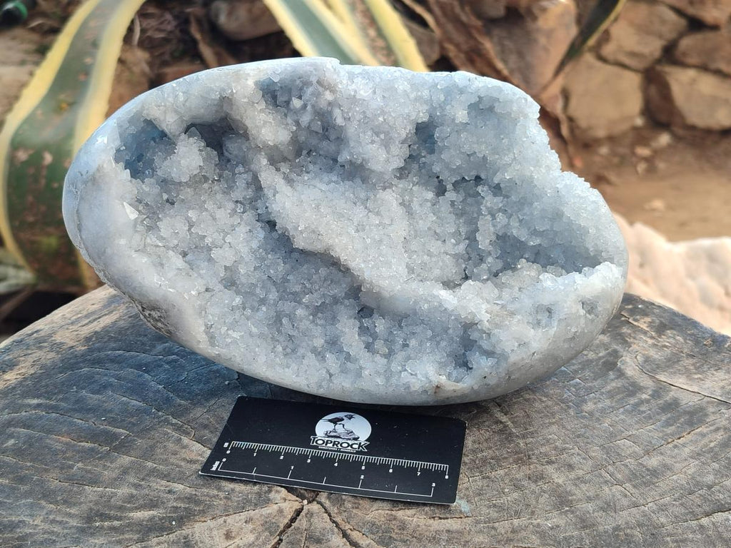 Polished XL Blue Celestite Egg x 1 From Sakoany, Madagascar