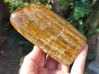 Polished Golden Neolite Tigers Eye Standing Free Forms x 4 From Prieska, South Africa