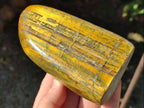 Polished Golden Neolite Tigers Eye Standing Free Forms x 4 From Prieska, South Africa