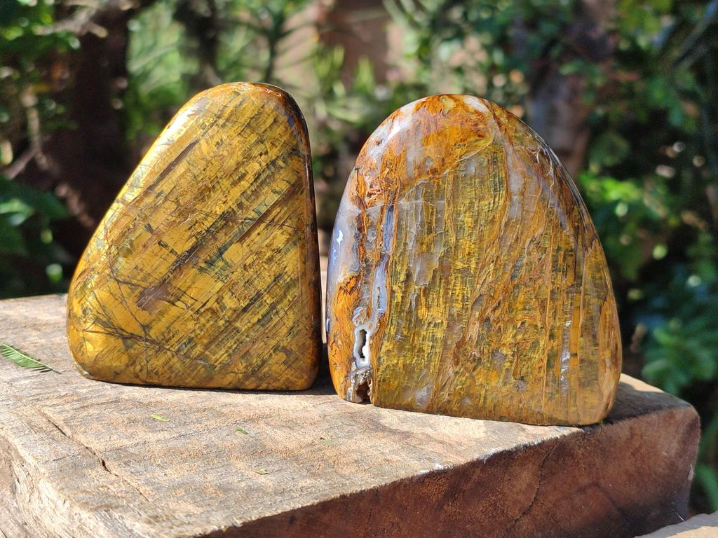 Polished Golden Neolite Tigers Eye Standing Free Forms x 4 From Prieska, South Africa
